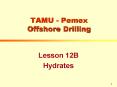 TAMU Pemex Offshore Drilling PowerPoint PPT Presentation
