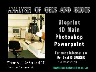 Aucun titre de diapositive