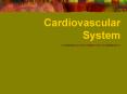 Cardiovascular System PowerPoint PPT Presentation