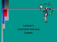 Autonomic Nervous