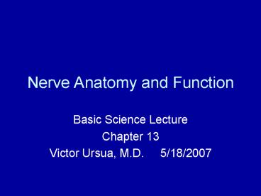 Nerve Anatomy and Function