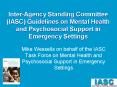 Mike Wessells on behalf of the IASC Task Force on Mental Health and Psychosocial Support in Emergenc PowerPoint PPT Presentation