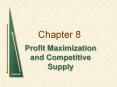 Profit Maximization and Competitive Supply PowerPoint PPT Presentation