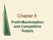 Profit Maximization and Competitive Supply