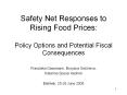 Safety Net Responses to Rising Food Prices: Policy Options and Potential Fiscal Consequences PowerPoint PPT Presentation