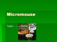 Micromouse