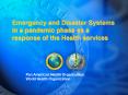 Emergency and Disaster Systems in a pandemic phase as a response of the Health services PowerPoint PPT Presentation