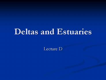 Deltas and Estuaries