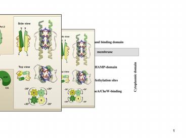 presentation player overlay