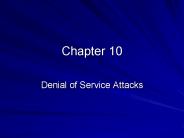 Denial of Service Attacks