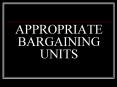 APPROPRIATE BARGAINING UNITS PowerPoint PPT Presentation
