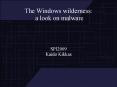 The Windows wilderness: a look on malware PowerPoint PPT Presentation