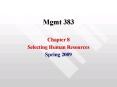 Mgmt 383 PowerPoint PPT Presentation