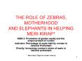 THE ROLE OF ZEBRAS, MOTHERHOOD AND ELEPHANTS IN HELPING MERI KIRAP PowerPoint PPT Presentation