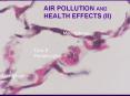 AIR POLLUTION AND HEALTH EFFECTS (II) PowerPoint PPT Presentation