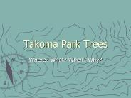 Takoma Park Trees