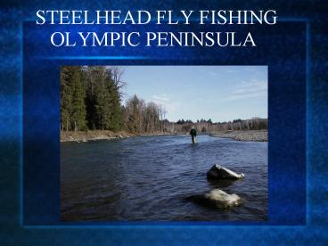 STEELHEAD FLY FISHING OLYMPIC PENINSULA