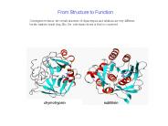 From Structure to Function
