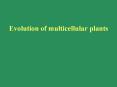 Evolution of multicellular plants PowerPoint PPT Presentation