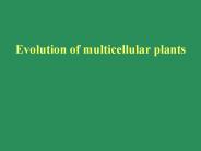 Evolution of multicellular plants