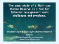 The casestudy of a Multiuse Marine Reserve as a tool for fisheries management: main challenges and p PowerPoint PPT Presentation