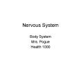 Nervous System PowerPoint PPT Presentation