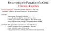 Uncovering the Function of a Gene: Classical Genetics PowerPoint PPT Presentation