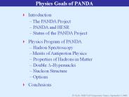 Physics%20Goals%20of%20PANDA