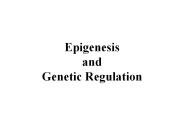 Epigenesis and