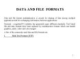 DATA AND FILE FORMATS PowerPoint PPT Presentation
