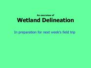 An overview of Wetland Delineation