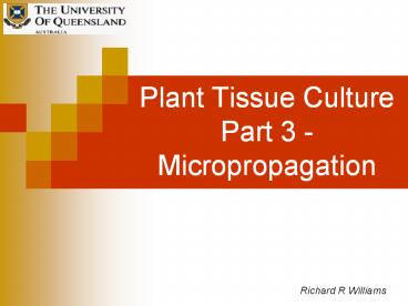 presentation player overlay