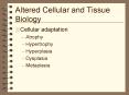 Altered Cellular and Tissue Biology PowerPoint PPT Presentation