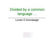 Divided by a common language 