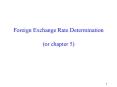 Exchange Rate Determination PowerPoint PPT Presentation