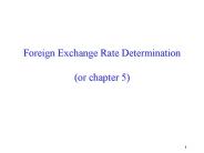 Exchange Rate Determination