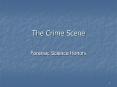 The Crime Scene PowerPoint PPT Presentation