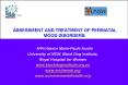 ASSESSMENT AND TREATMENT OF PERINATAL MOOD DISORDERS' PowerPoint PPT Presentation