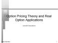Option Pricing Theory and Real Option Applications