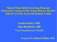 Neural Tube Defects Among Mexican Americans Living on the Texas-Mexico Border: Effects of Folic Acid and Dietary Folate PowerPoint PPT Presentation