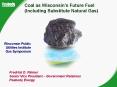 Green Coal: The Future Fuel for America and the World PowerPoint PPT Presentation