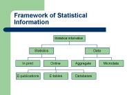 Framework of Statistical Information