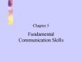 Fundamental Communication Skills PowerPoint PPT Presentation