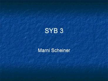 SYB 3