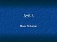 SYB 3 PowerPoint PPT Presentation