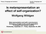 Is metarepresentation an effect of self-organization?
