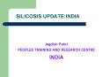 SILICOSIS UPDATE:INDIA PowerPoint PPT Presentation