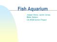 Fish Aquarium PowerPoint PPT Presentation