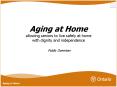 Aging at Home allowing seniors to live safely at home with dignity and independence Public Overview PowerPoint PPT Presentation