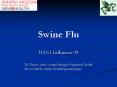 Swine Flu PowerPoint PPT Presentation